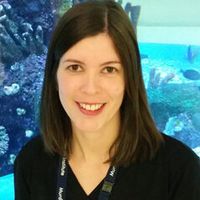 Liz Spry's avatar