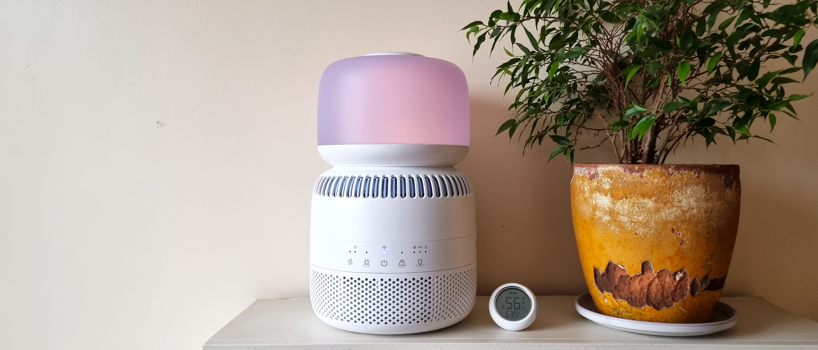 a picture of the Levoit Sprout Evaporative Humidifier standing on a shelf next to a houseplant and a humidity meter