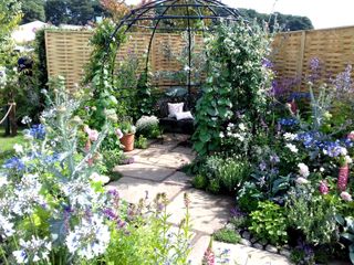 climbing plant support ideas: bower structure