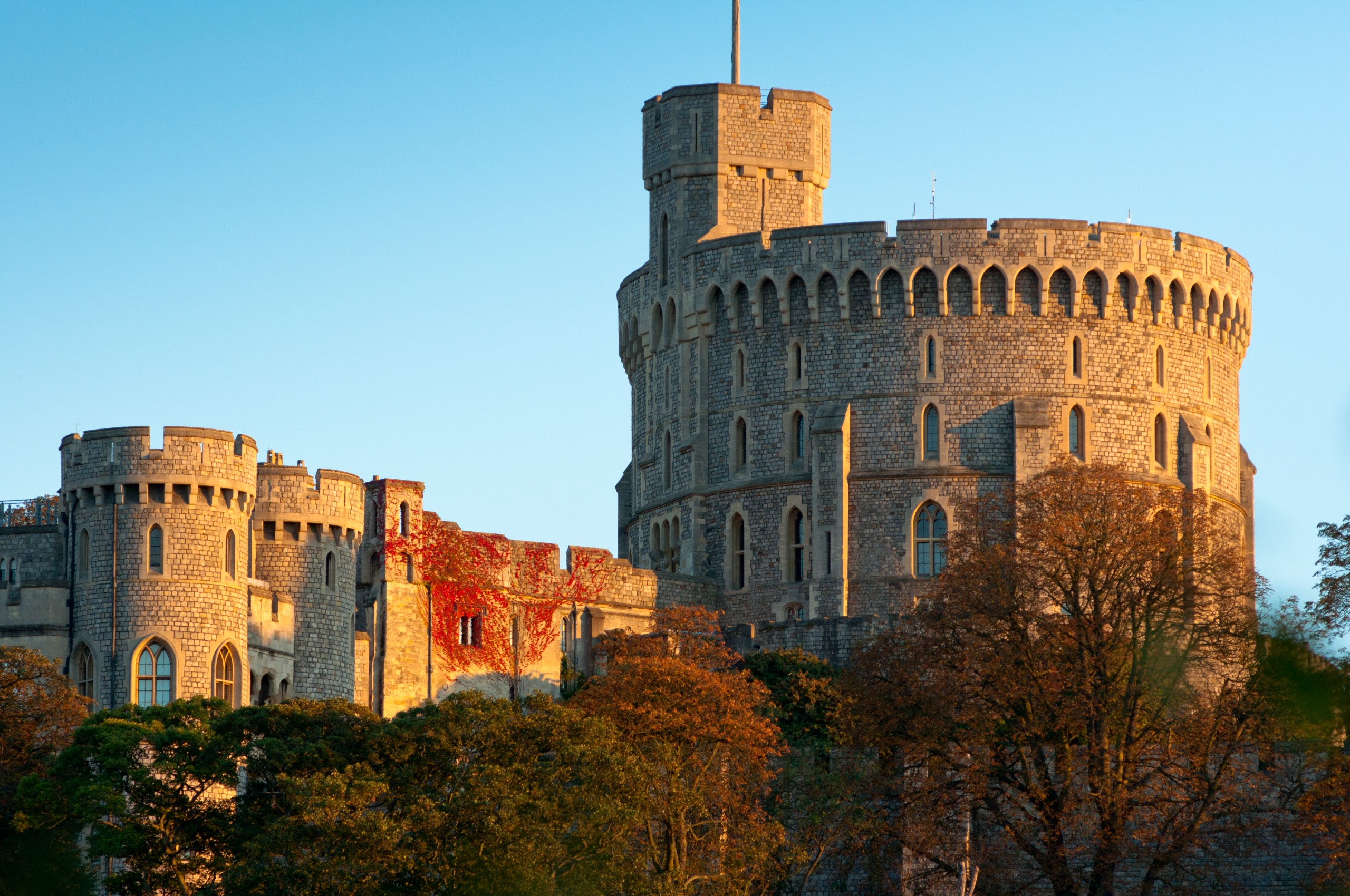 Windsor Castle covered in red ivy