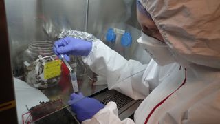 The sediment cores from the submerged Doggerland region of the North Sea were carefully analyzed to reveal thousands of years of geographic history.