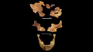 The ancient child's skull and jaw are fragmented. The diagonal lines show where ochre pigment was found.