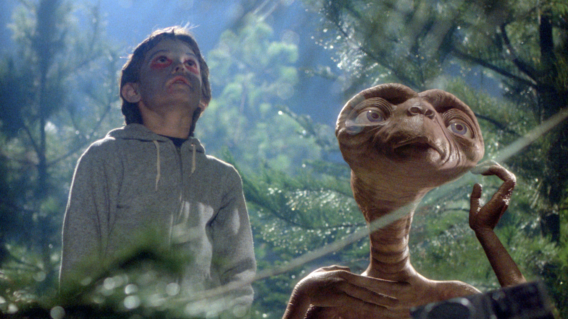 E.T. the Extra-Terrestrial (1982) directed by Steven Spielberg and starring  Henry Thomas, Drew Barrymore, Peter Coyote and Robert MacNaughton. A child  forms a special connection with an alien marooned on earth Stock