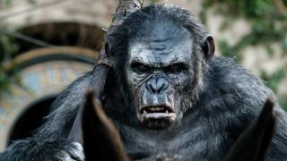 Koba Dawn Of The Planet Of The Apes