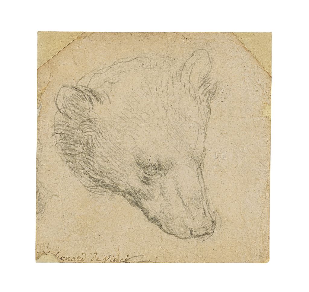 Da Vinci 'Head of a Bear' could sell for over $16 million at upcoming auction