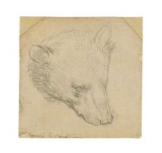 Leonardo da Vinci's "Head of a Bear" sketch will go up for auction in July.