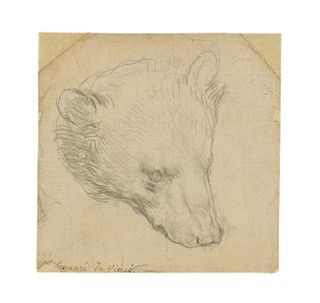 Leonardo da Vinci's "Head of a Bear" sketch will go up for auction in July.
