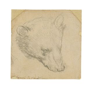 Leonardo da Vinci&#039;s &quot;Head of a Bear&quot; sketch will go up for auction in July.