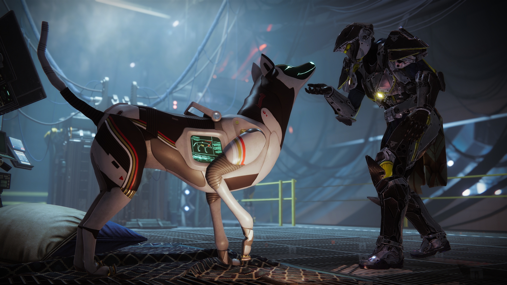 Good boy protocol destiny 2