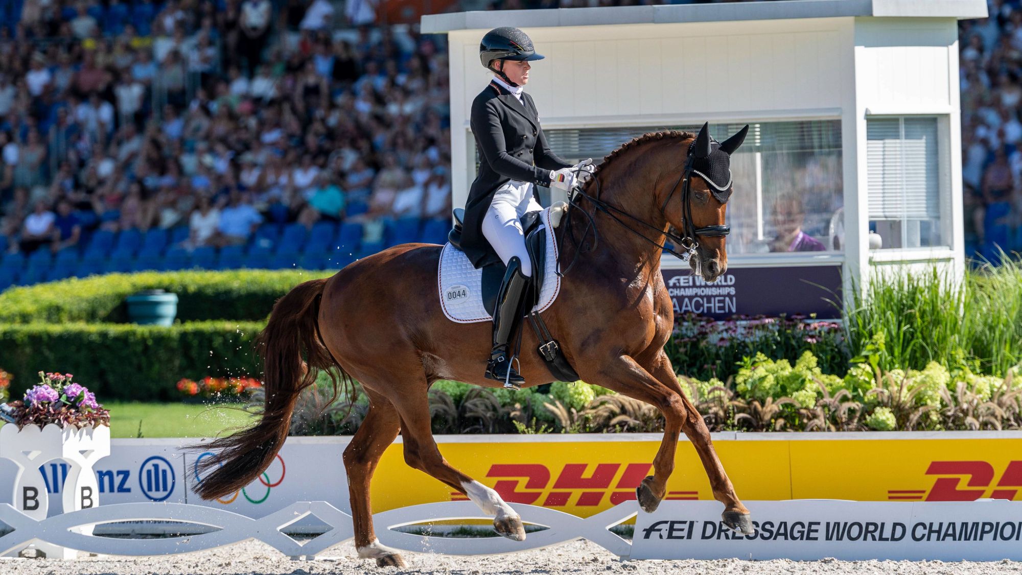 Katharina Hemmer riding Denoix PCH in the grand prix special at the 2026 World Dressage Championships in Aachen.