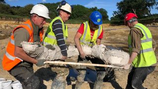 Excavators lift a mammoth tusk.
