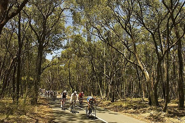 Riders would have liked the descent among the trees on Fisken road in forty degree temperatures during the race.