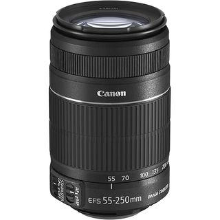 Canon EF-S 55-250mm f/4-5.6 IS STM