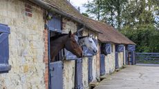 Sustainability for horse owners