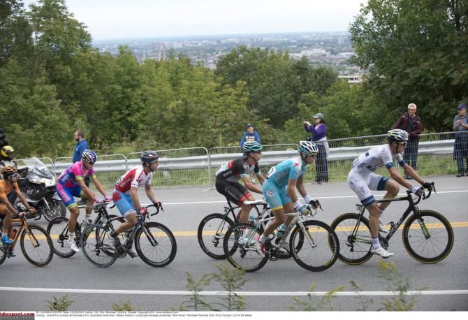 The bunch climbs during the race