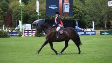 RIHS show hunter pony