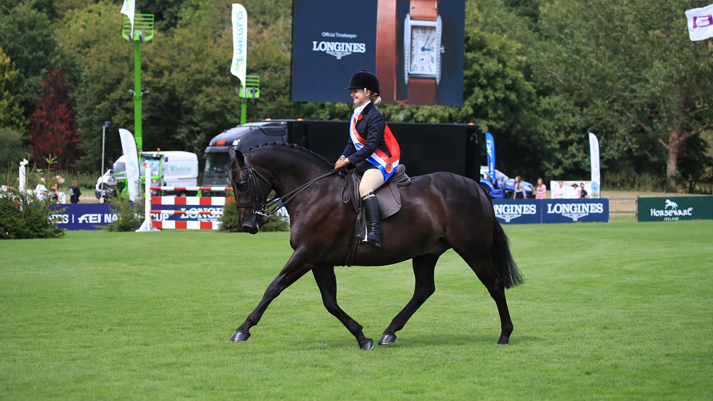 RIHS show hunter pony