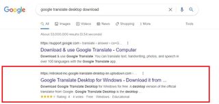 Fake Google Translate desktop app