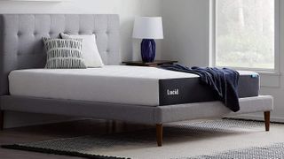 The Lucid 10" Memory Foam mattress shown on a grey fabric bed frame is the best mattresses on Amazon under $400 this year