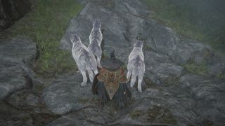 Elden Ring character summons spirit wolves.