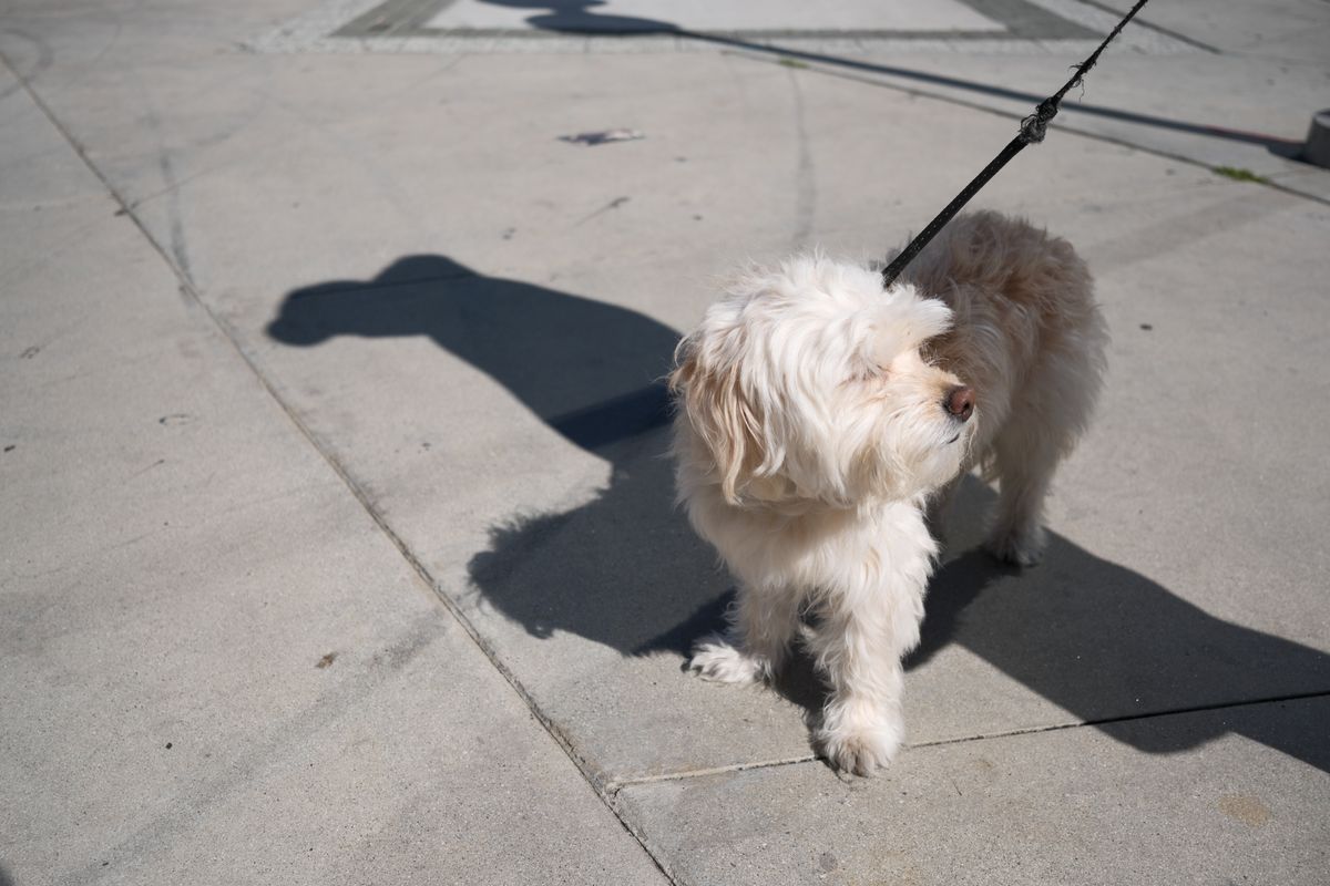A sample photo taken with the Fujifilm X-E5 and 23mm f/2.8 R WR, unedited JPEG