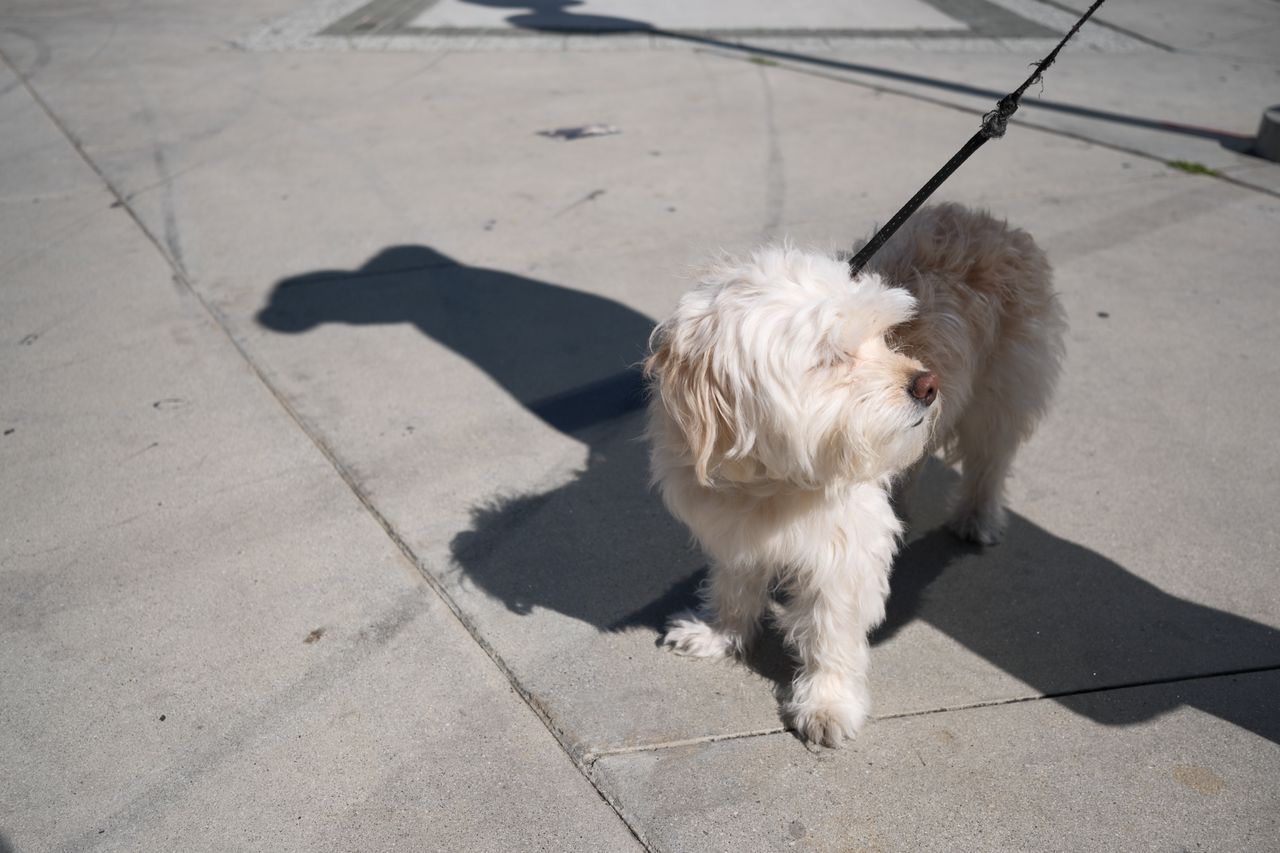 A sample photo taken with the Fujifilm X-E5 and 23mm f/2.8 R WR, unedited JPEG