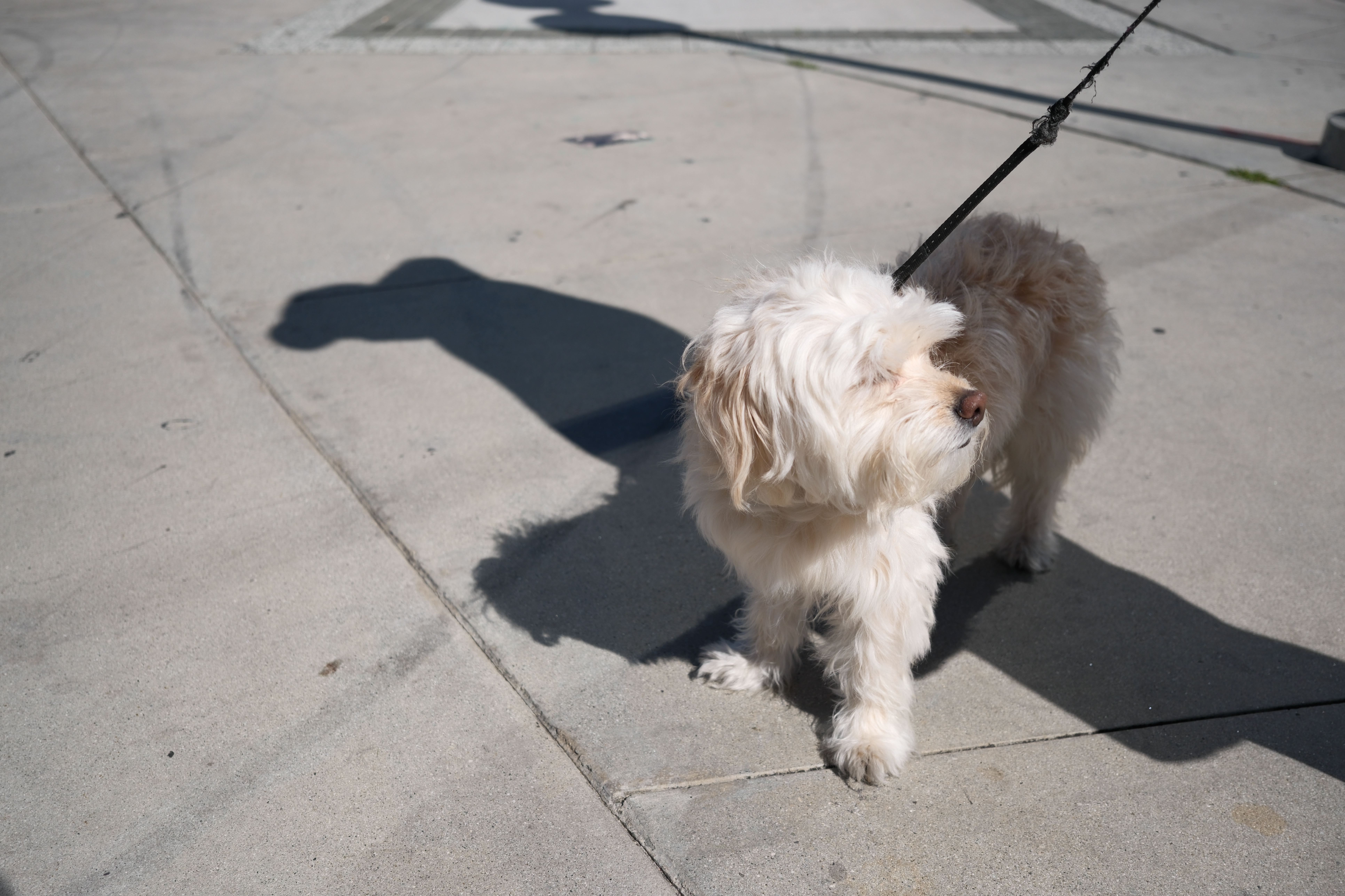 A sample photo taken with the Fujifilm X-E5 and 23mm f/2.8 R WR, unedited JPEG