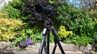 Outdoor shot of a Manfrotto 055 MT055CXPRO3, one of the best tripods