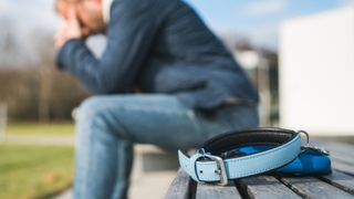Grieving man sat on bench with pet collar beside him