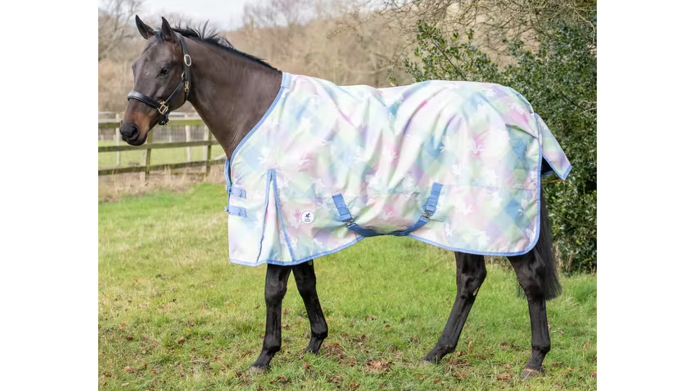 Derby House Spring Bunny patterned horse rug