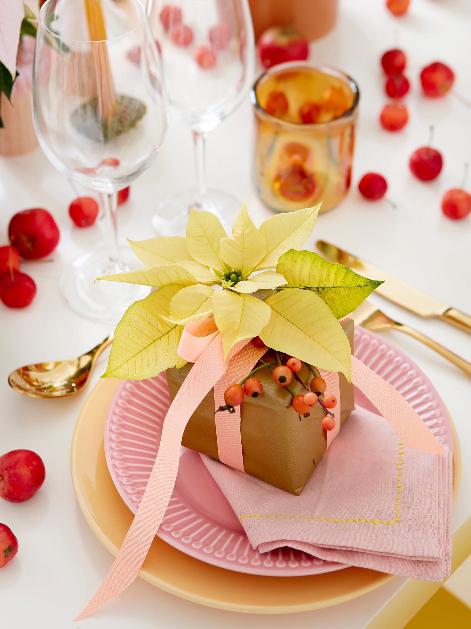 Lemon colored poinsettia placed on small gift box with candy pink ribbon and rose hips