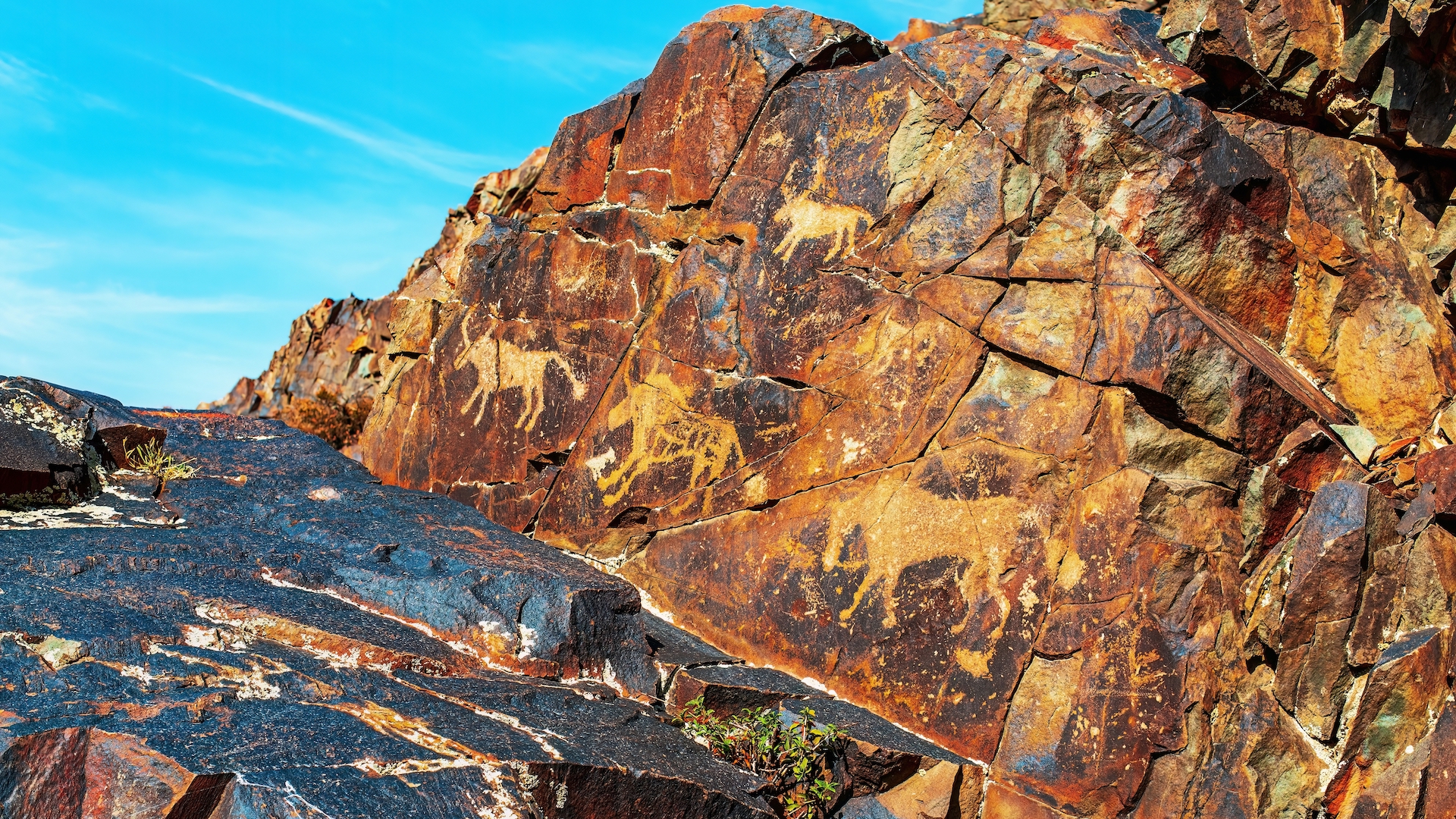 3 500 year old Rock Art Of Wild Sheep And Double humped Camels Revealed 