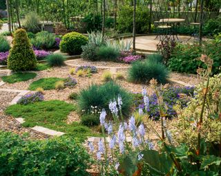 gravel garden with colourful ground cover plants