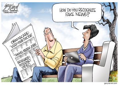 Political cartoon U.S. recognize fake news