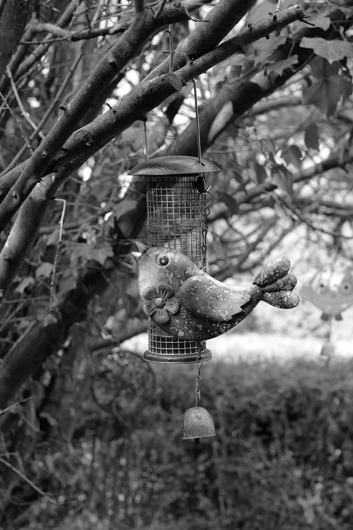 Leica Q3 Monochrom vs Leica Leitzphone comparison