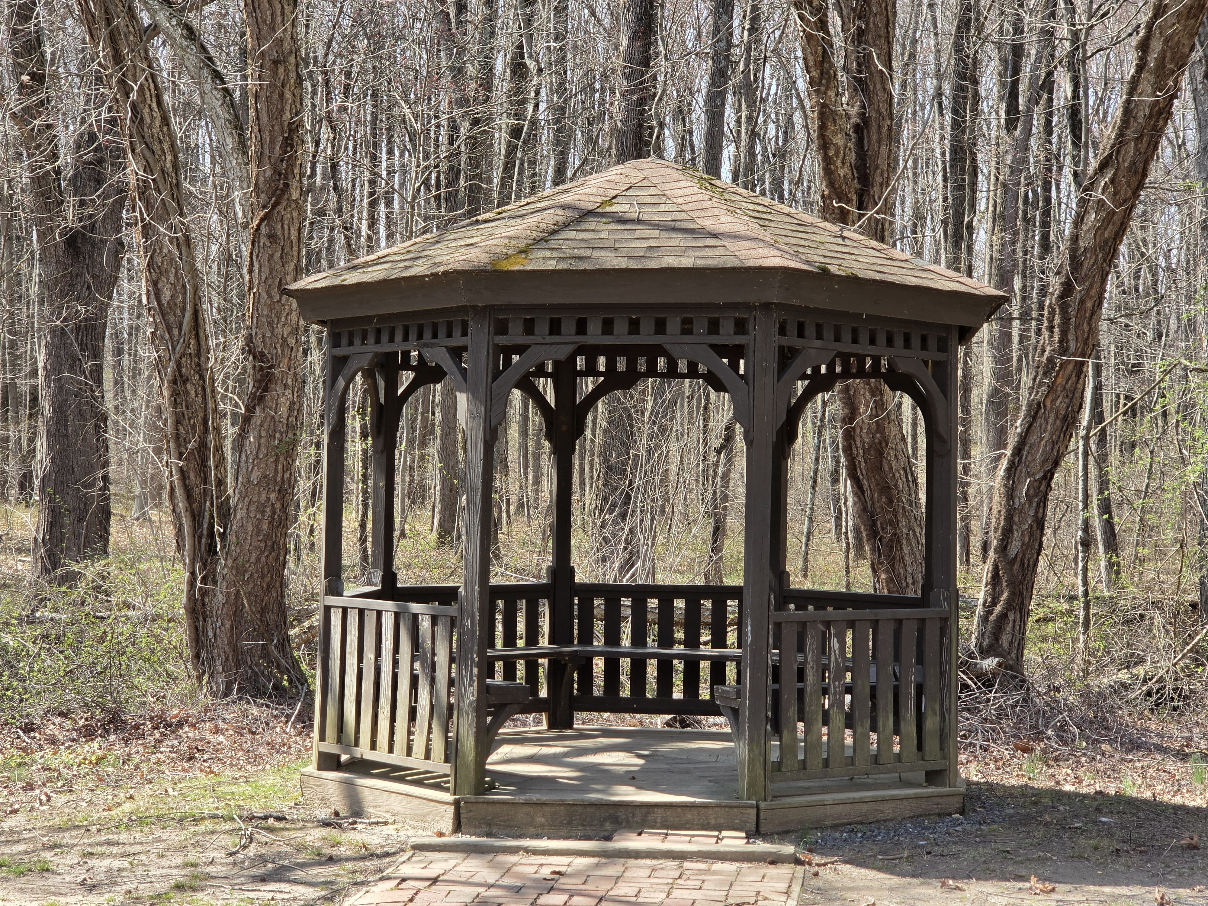 Samsung Galaxy S26 Plus camera samples