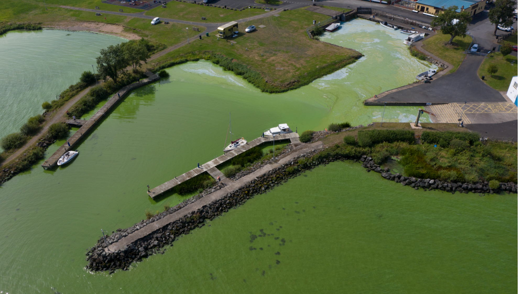 A Blue-green algae bloom can be seen at Battery Harbour on August 18, 2025 in Cookstown, Northern Ireland