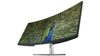 best video editing monitor: Dell UltraSharp 40 Curved WUHD Monitor (U4021QW)