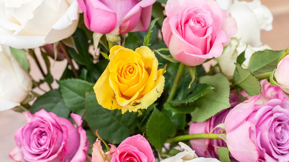 Valentine's Day flowers