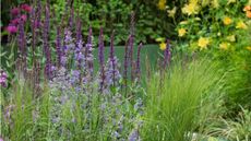 MS Amlin Peace of Mind Garden Chelsea Flower Show 2025