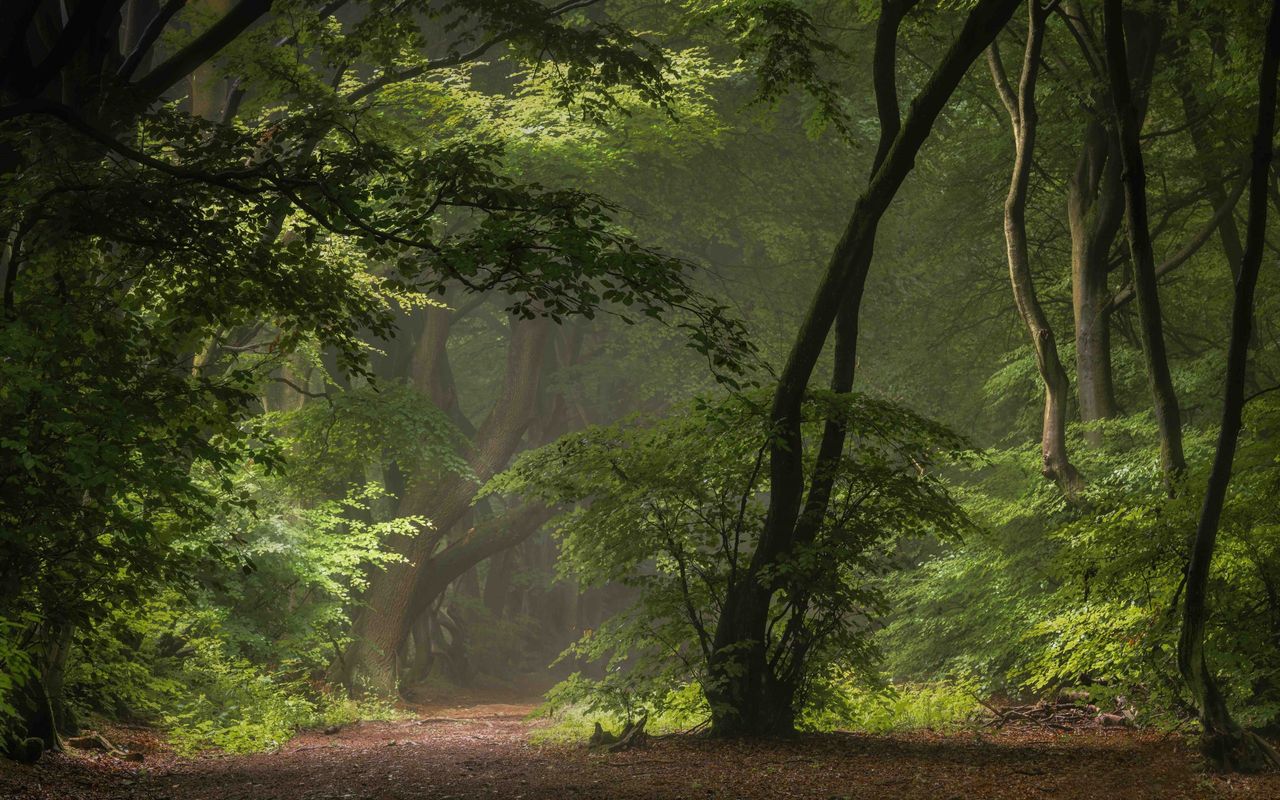 ©William B Milner / Landscape Photographer of the Year 2020