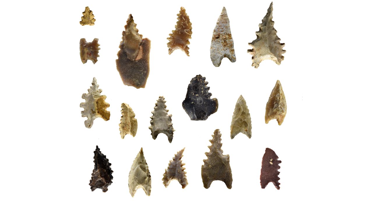 Toalean stone arrowheads with pressure-flaked serrations.