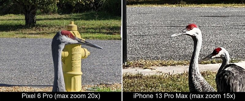Pixel 6 Pro Vs Iphone 13 Pro Max Zoom Day