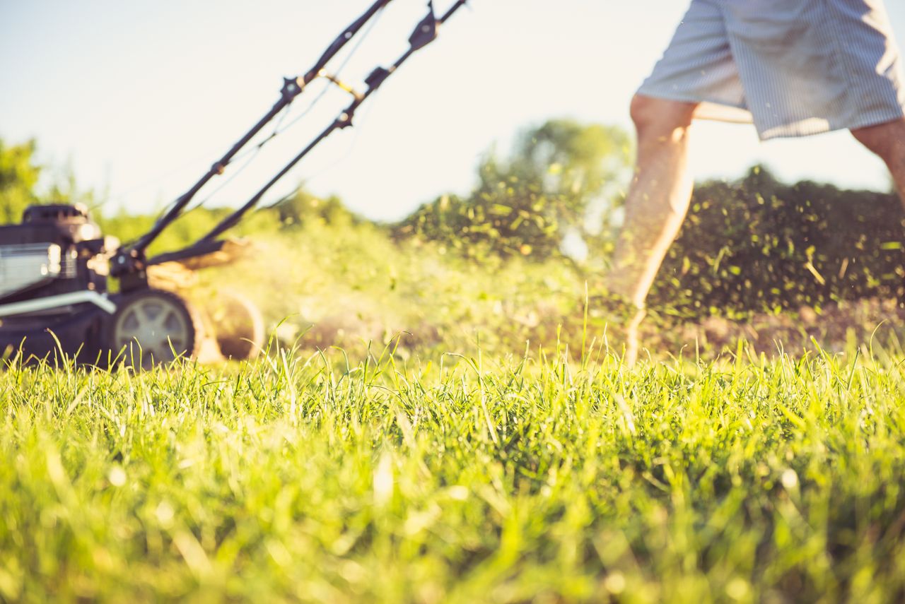 A person mowing grass.