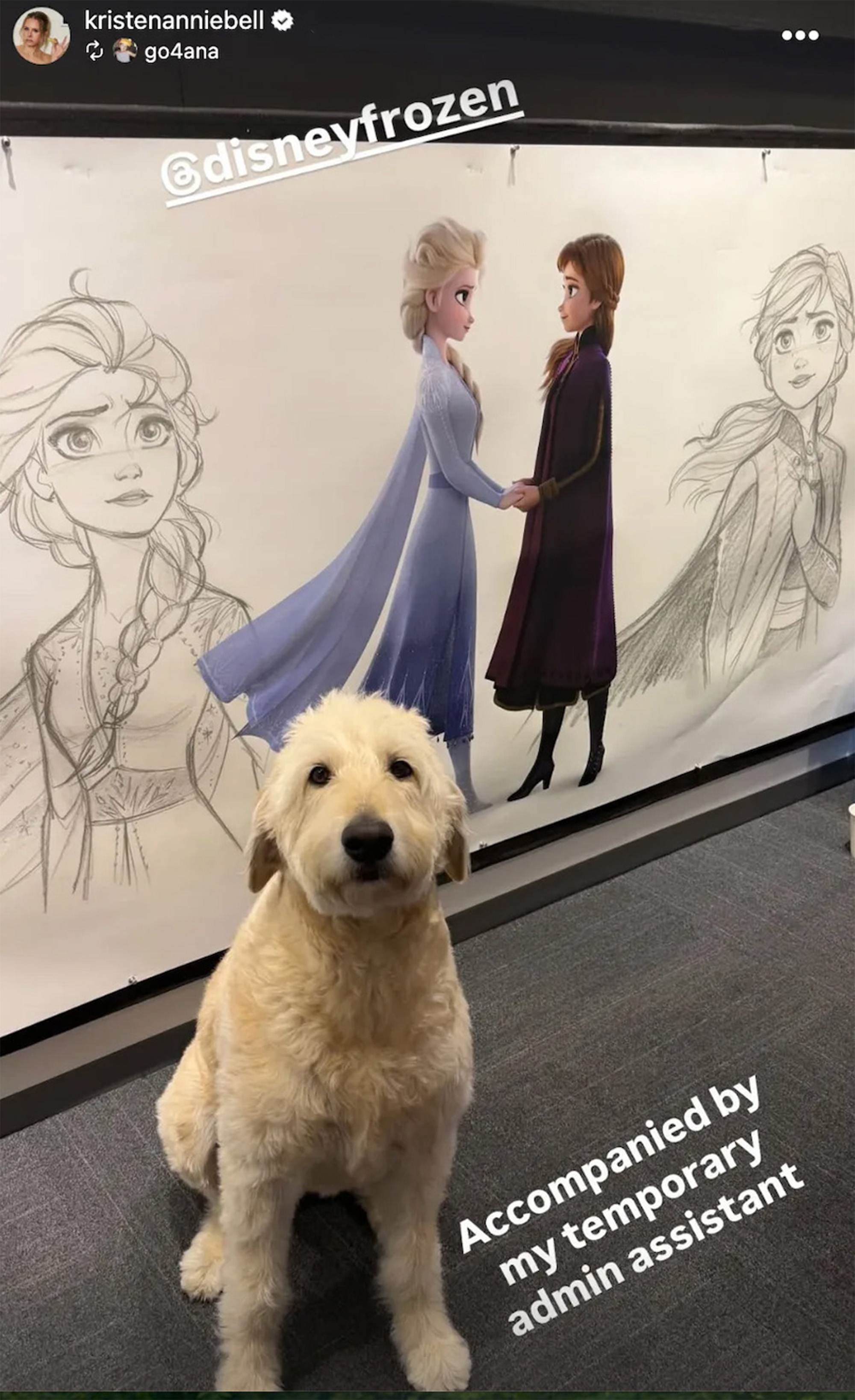 Kristen Bell brings her dog to the studio to kick off the more serious run for Frozen 3.