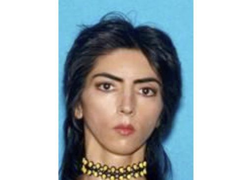 Nasim Aghdam, YouTube shooter