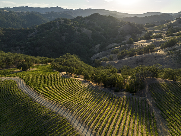 Devil-Proof-Rockpile-Ridge-vineyard-Credit-Rachid-Dahnoun.jpg