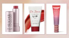 Best tinted lip balms including Benefit, Dr Sam's, and Fresh