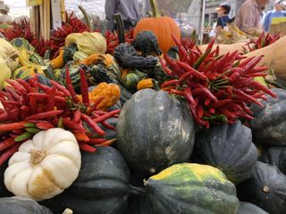 Peppers and acorn squash