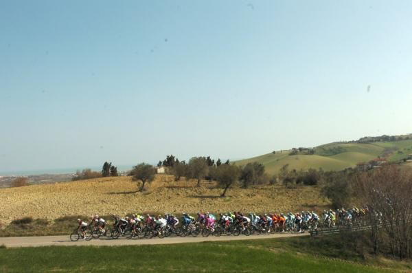 The peloton on stage 5 of Tirreno-Adriatico.
